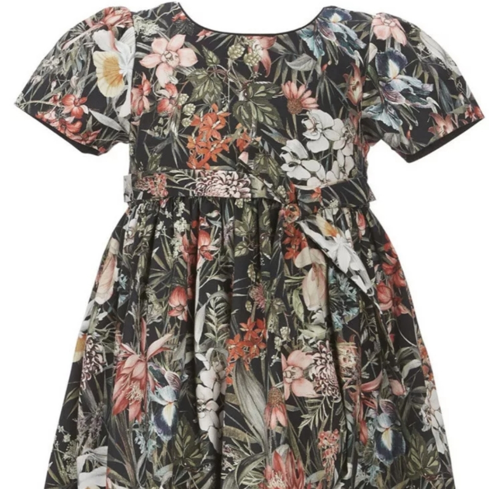 Antonio melani Edgehill Collection